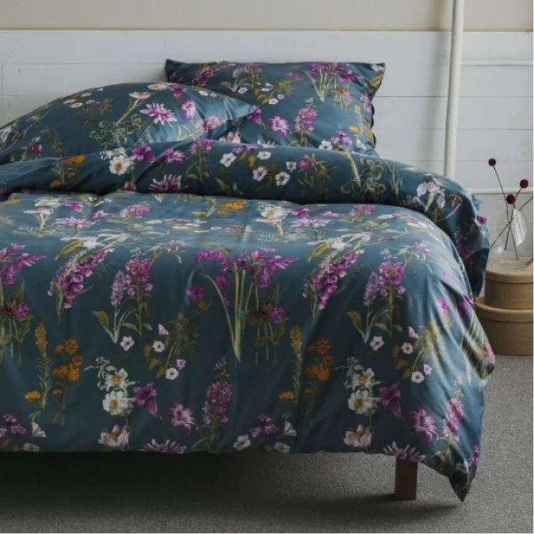 Imagine1 jpg