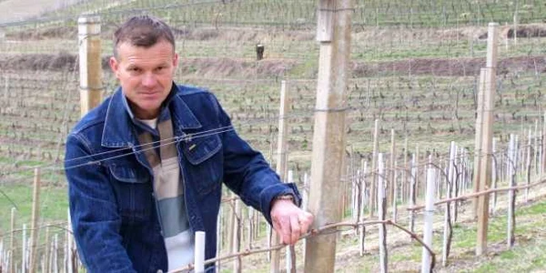 Cursuri pentru viticultori (arhivă)
