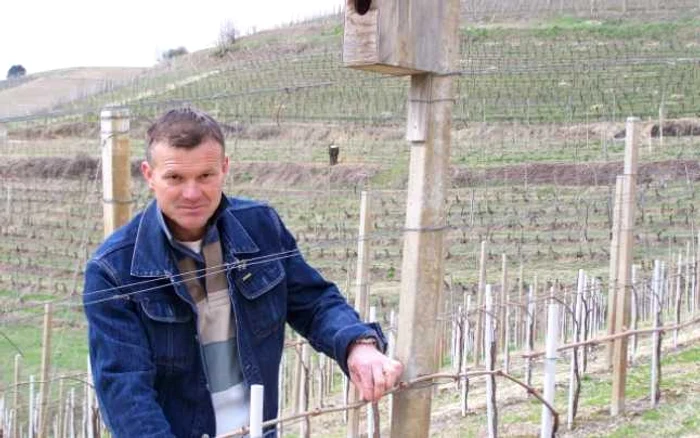 Cursuri pentru viticultori (arhivă)