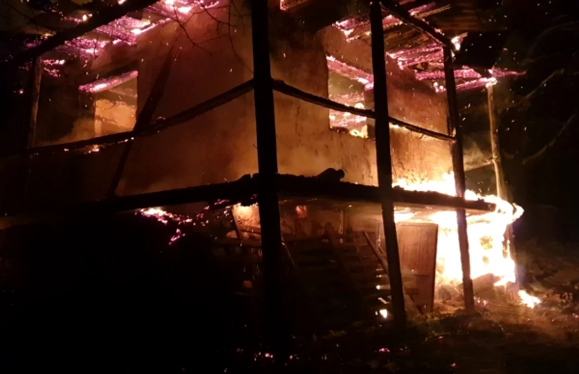 incendiu sursa foto ISU Satu Mare