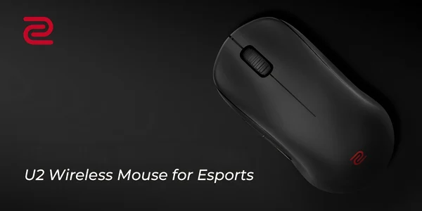 Mouse wireless Zowie jpg