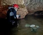speologie apuseni