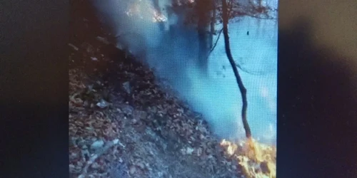 Incendiu în masivul Buceş-Vulcan din Apuseni