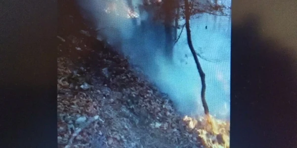 Incendiu în masivul Buceş-Vulcan din Apuseni