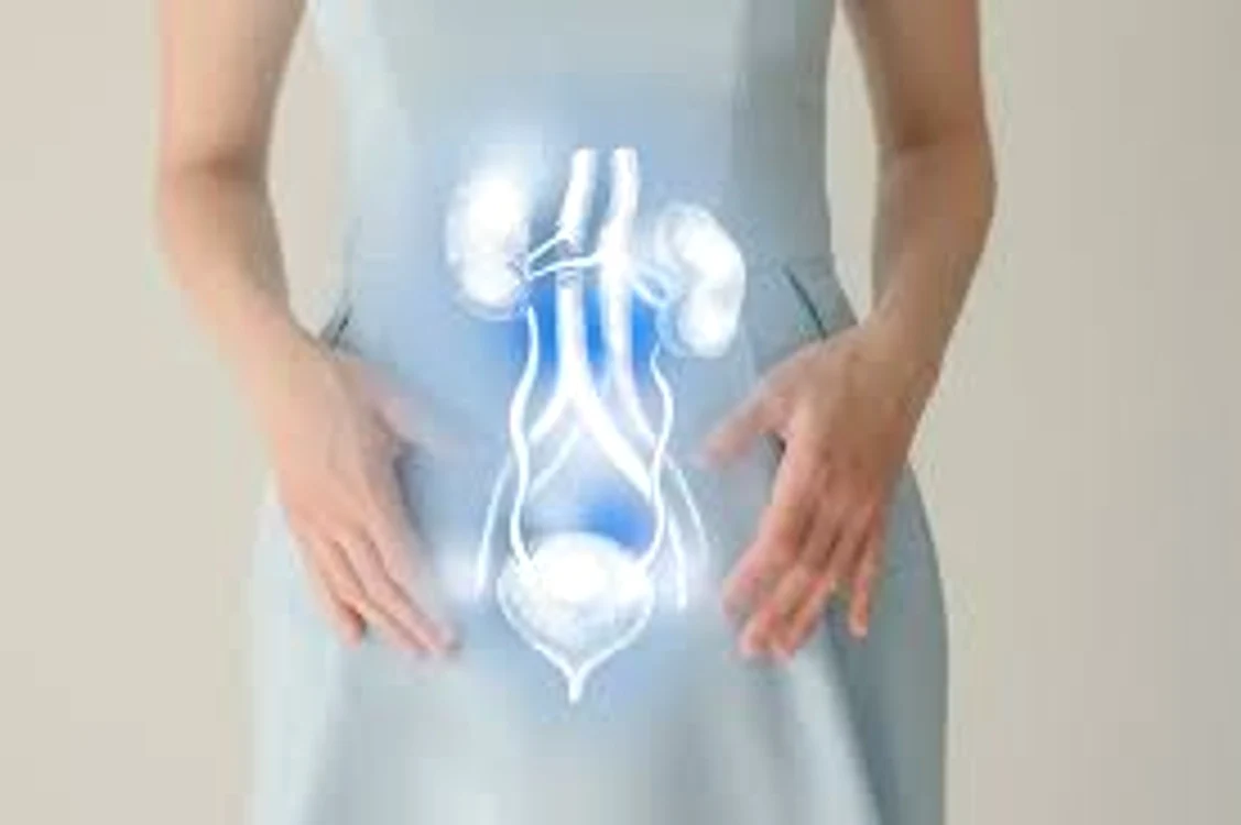 Care sunt cele mai eficiente remedii naturiste pentru infecțiile urinare repetate.
