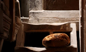 Lansarea albumului ROST Esenţe, gusturi şi stări româneşti jpeg