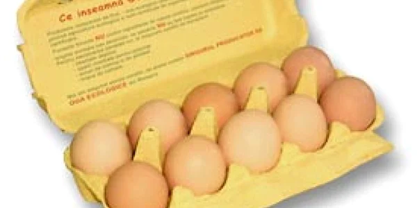 Ouăle aveau termen de valabilitate mai mare decât cel prevăzut în legislaţie 