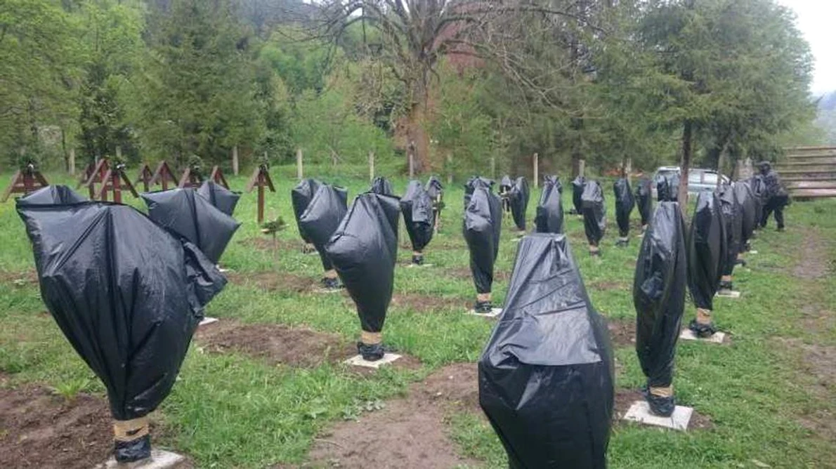 Crucile eroilor români din cimitirul Valea Uzului, profanate de «un grup de iniţiativă maghiar» jpeg
