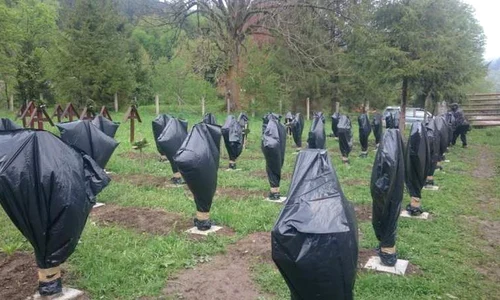 Crucile eroilor români din cimitirul Valea Uzului, profanate de «un grup de iniţiativă maghiar» jpeg