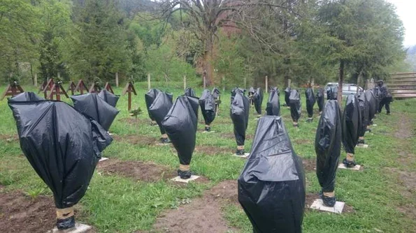 Crucile eroilor români din cimitirul Valea Uzului, profanate de «un grup de iniţiativă maghiar» jpeg