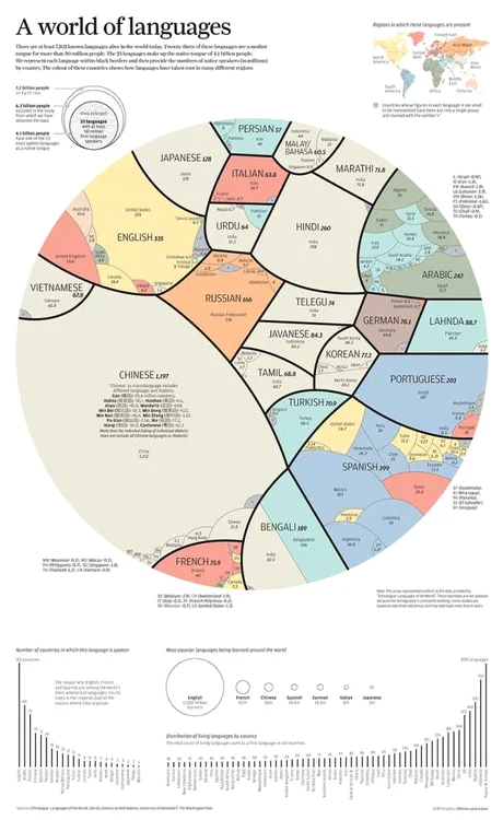 infografic