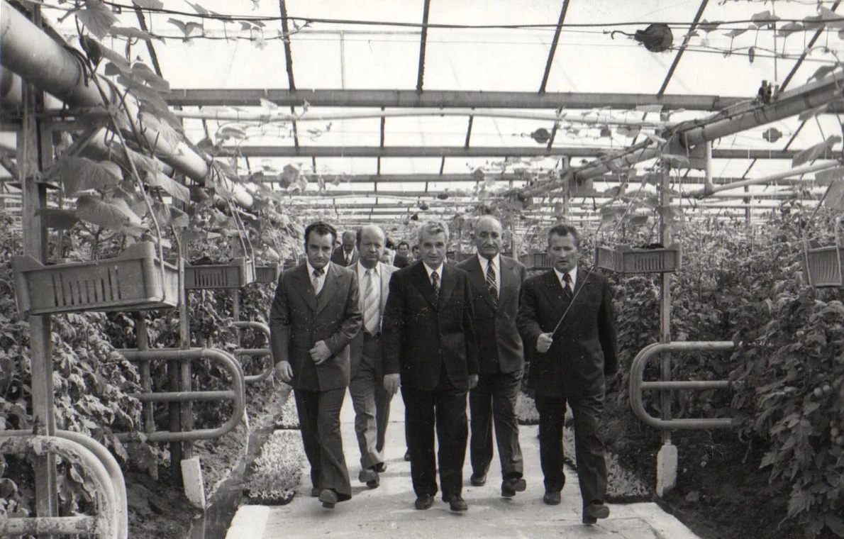 Nicolae Ceaușescu, în timpul vizitei la serele cooperativei agricole Scornicești (©  „Fototeca online a comunismului românesc”, cota: 164/1979)
