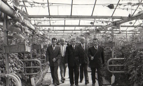 Nicolae Ceaușescu, în timpul vizitei la serele cooperativei agricole Scornicești (©  „Fototeca online a comunismului românesc”, cota: 164/1979)