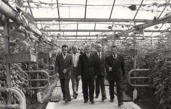 Nicolae Ceaușescu, în timpul vizitei la serele cooperativei agricole Scornicești (© „Fototeca online a comunismului românesc”, cota: 164/1979)