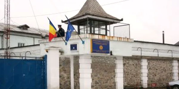 Stejar Cajvana