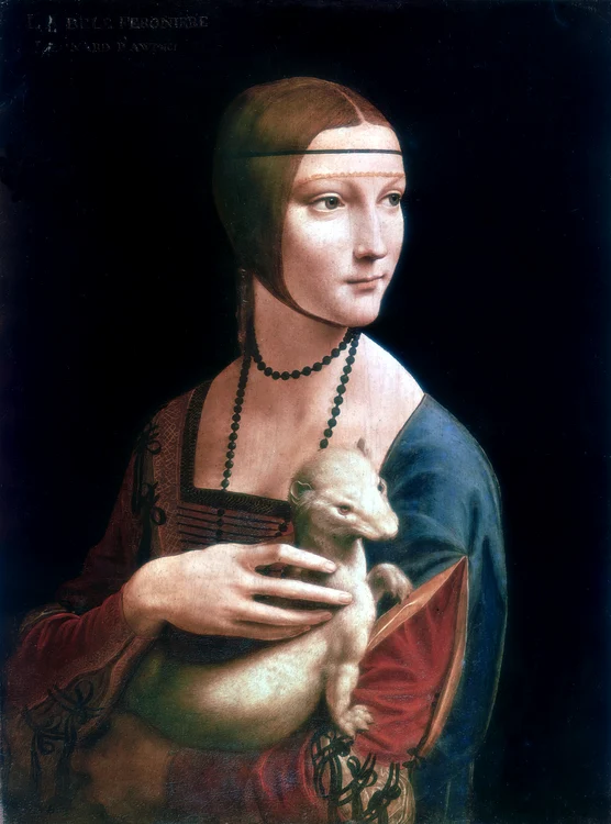 Portretul Ceciliei Gallerani, Doamna cu hermină, Artist Leonardo da Vinci, cca  1490, profimedia 0963267829 jpg