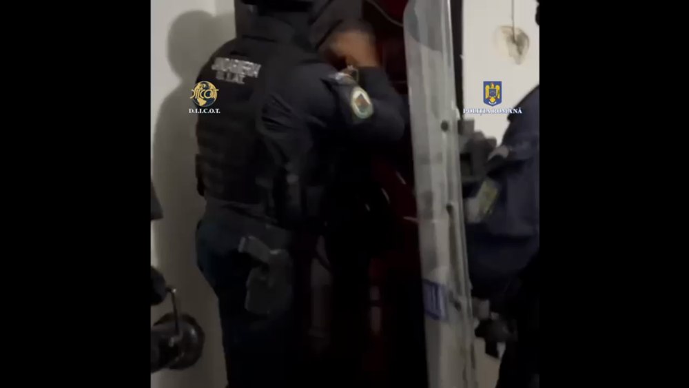 Fabrică de droguri într-o locuință din Hunedoara. Doi localnici au fost arestați VIDEO