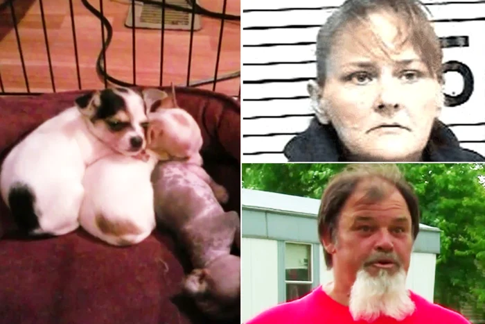 
    Anita Parker (43 de ani) și-a păcălit soțul că este gravidă în șapte luni, iar apoi și-a înscenat un avort spontan într-un mod meschinfoto: The Sun  