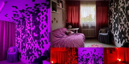 Camera de camin Iasi FOTO Directia de Servicii Studentesti jpg