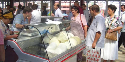 Bacău: Ţăranii îşi vând caşul sub aer condiţionat