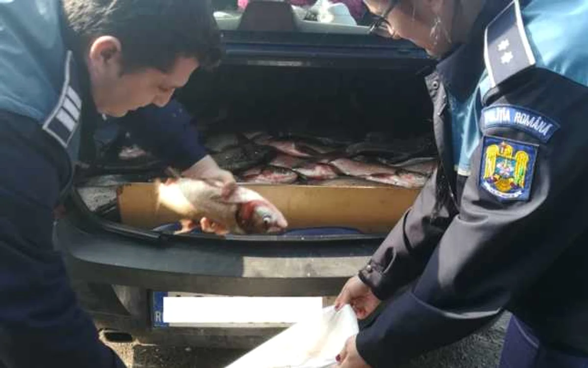 La activitate au participat şi reprezentanţii Direcţiei Sanitare Veterinare şi pentru Siguranţă Alimentelor Dâmboviţa