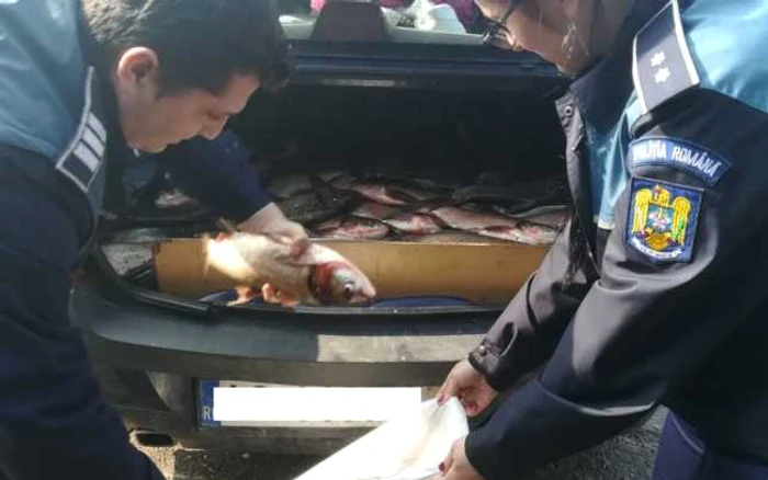 La activitate au participat şi reprezentanţii Direcţiei Sanitare Veterinare şi pentru Siguranţă Alimentelor Dâmboviţa