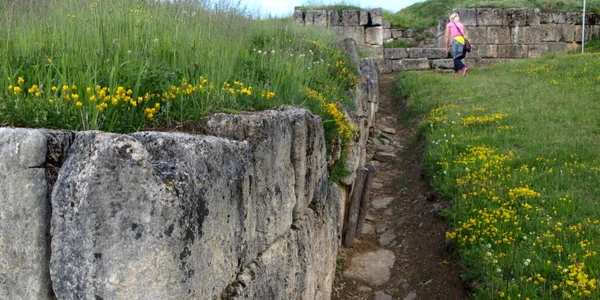 hunedoara