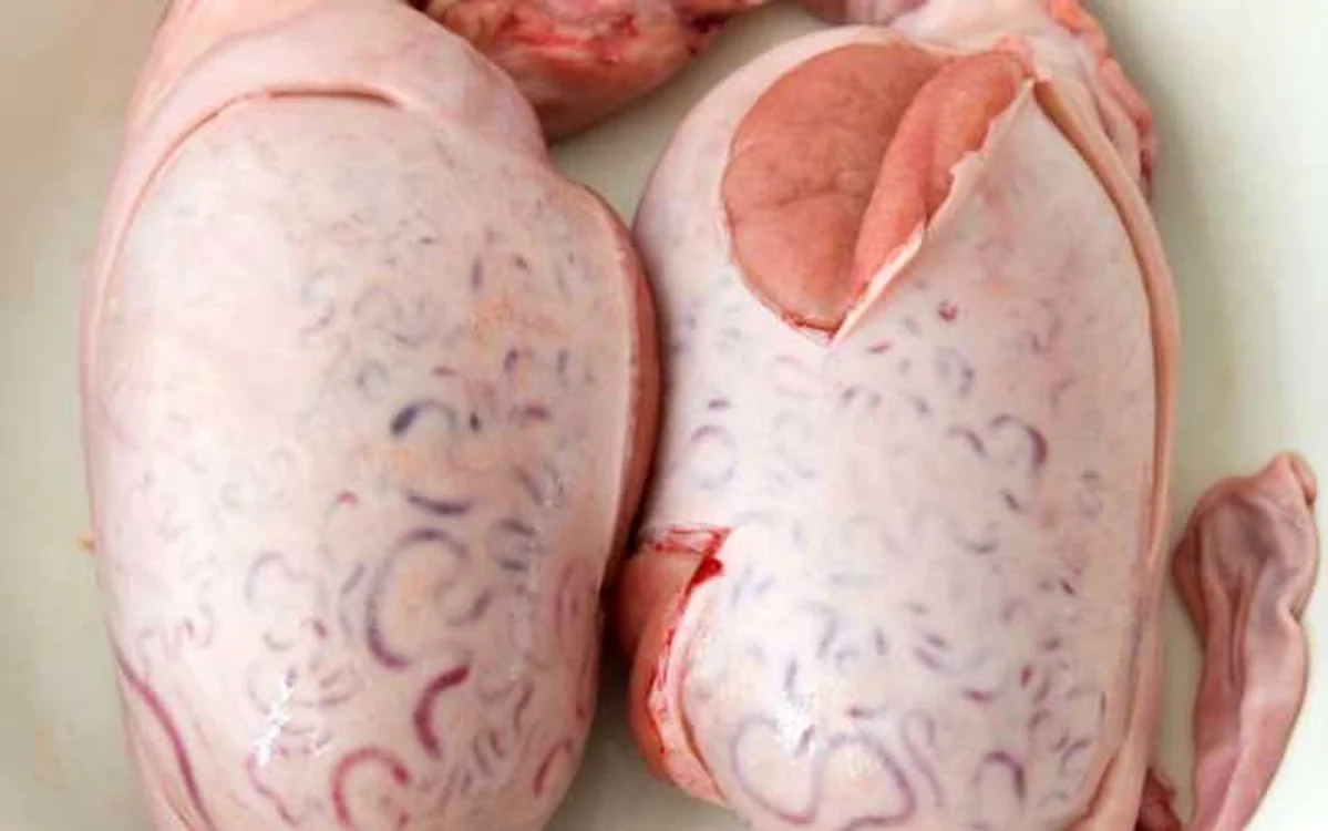 „Crialldias” este cuvântul spaniol care denumeşte testicolele de taur