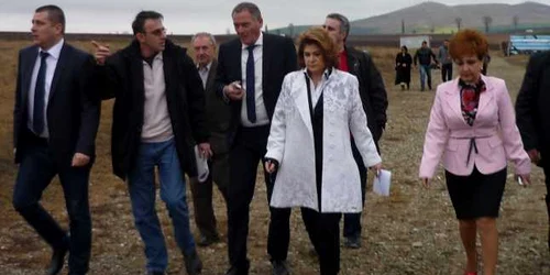 Rovana