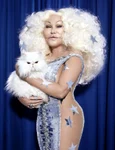 Jocelyn Wildenstein 1 jpeg
