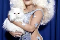 Jocelyn Wildenstein 1 jpeg