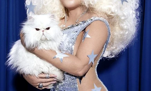 Jocelyn Wildenstein 1 jpeg