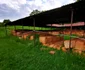 cetatea dacica costesti foto daniel guta adevarul