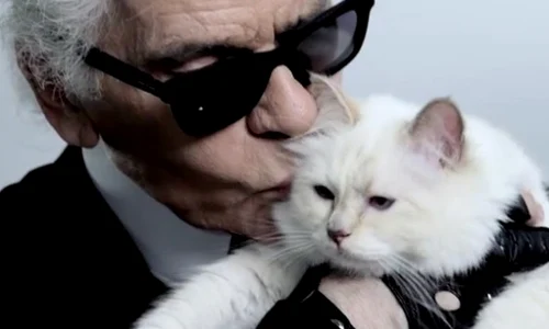 1 choupette karl lagerfeld jpg jpeg