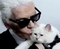 1 choupette karl lagerfeld jpg jpeg