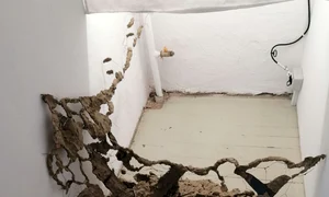 Artiști la Malmaison jpeg
