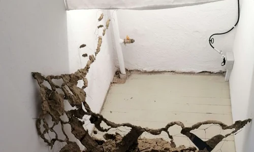 Artiști la Malmaison jpeg