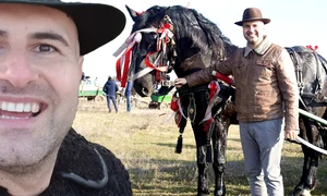 banner daniel trifu png