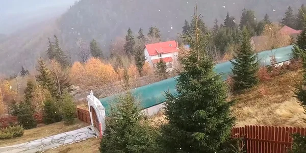 Ninsoare la Straja  Foto Dimitrie Ivasco jpg