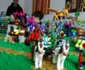 lego bistrita 12