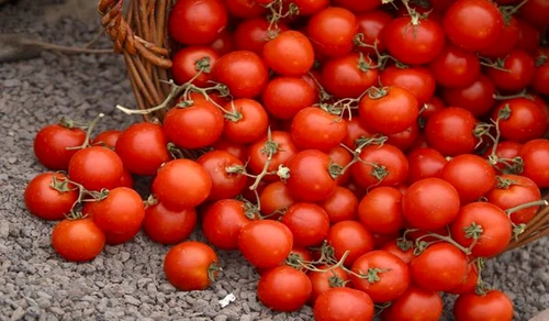 1 77673 original jpg jpeg