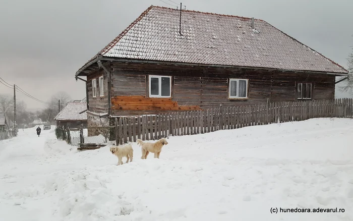 Iarna în satul Bătrâna. Foto: Daniel Guță