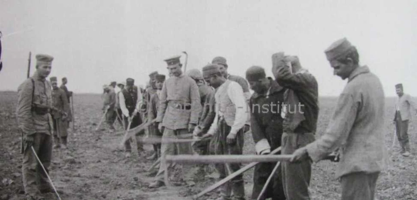 Prizonierii de culoare aduşi în Bărăgan erau folosiţi la muncile câmpului FOTO: Institutul Frobenius