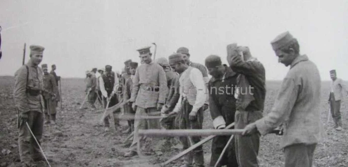 Prizonierii de culoare aduşi în Bărăgan erau folosiţi la muncile câmpului FOTO: Institutul Frobenius