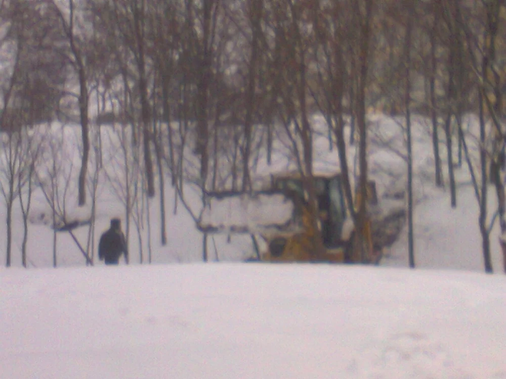 Excavatorul a alunecat şi a ieşit de pe drum, rupând mai mulţi copaci FOTO:adevarul