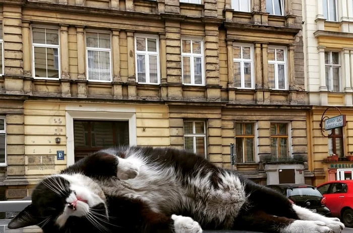 Gagek, într-un moment de respiro FOTO: Instagram