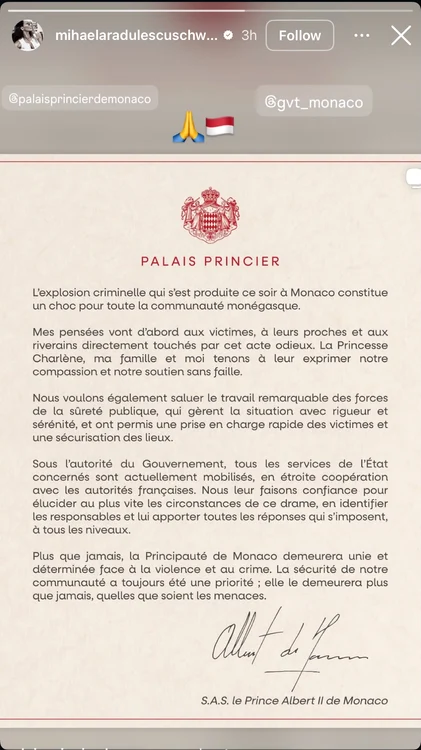 Mesajul transmis de Mihaela Rădulescu după explozia din Monaco. Foto: InstaStory