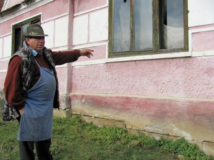 Copila batuta Pelisor