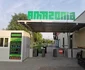 Ștrandul UMT-Amazonia FOTO Ștefan Both