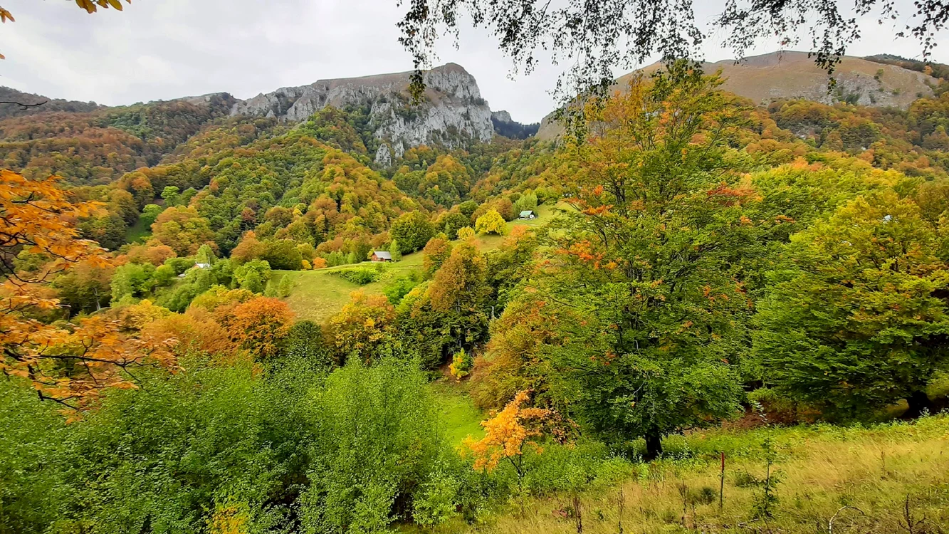 Chiliile Mănăstirii Pătrunsa cel mai izolat așezământ monahal secular din România Foto Cătă Cătălin